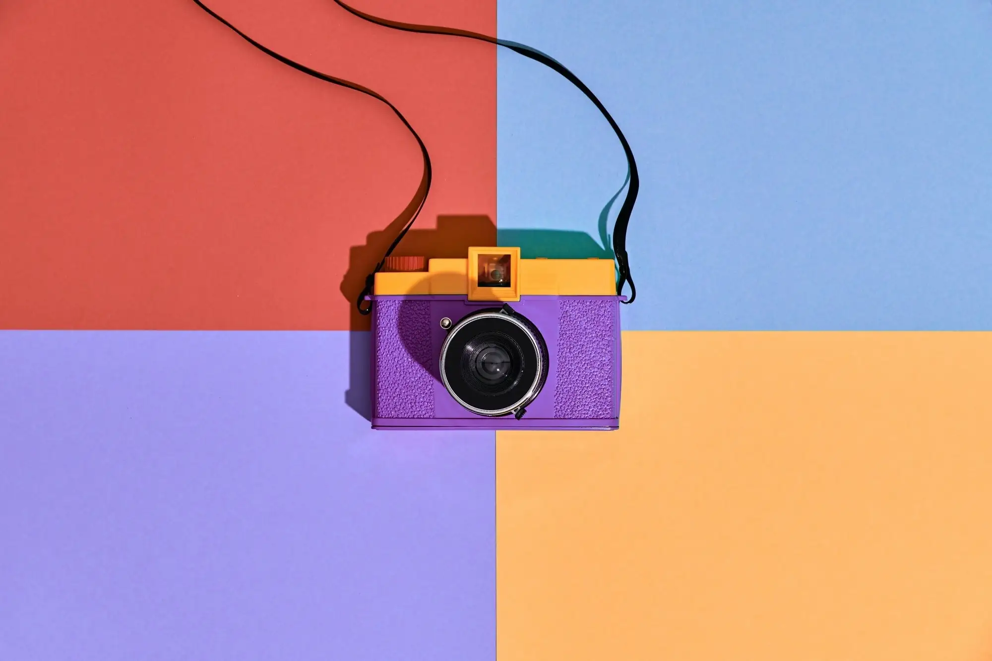 Professional Photography Services