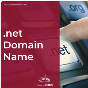 .net Domain Registration & Maintenance