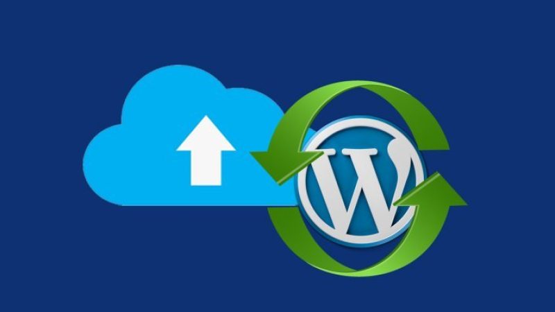 WordPress backup plugins