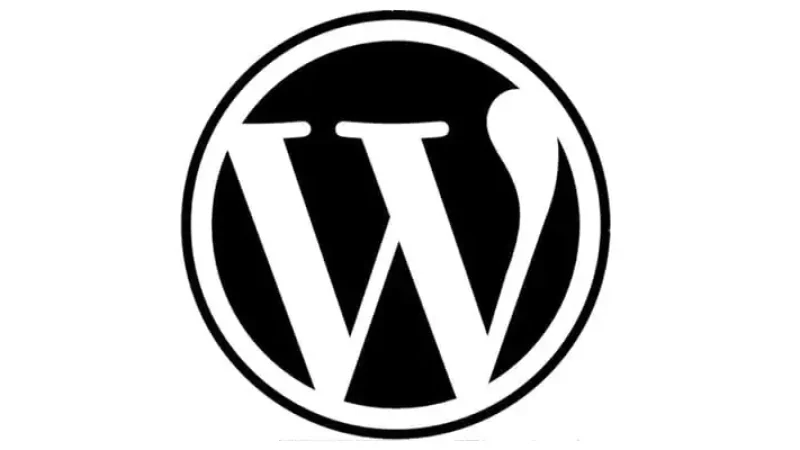 Popularity-Of-WordPress-Websites-In-The-UAE